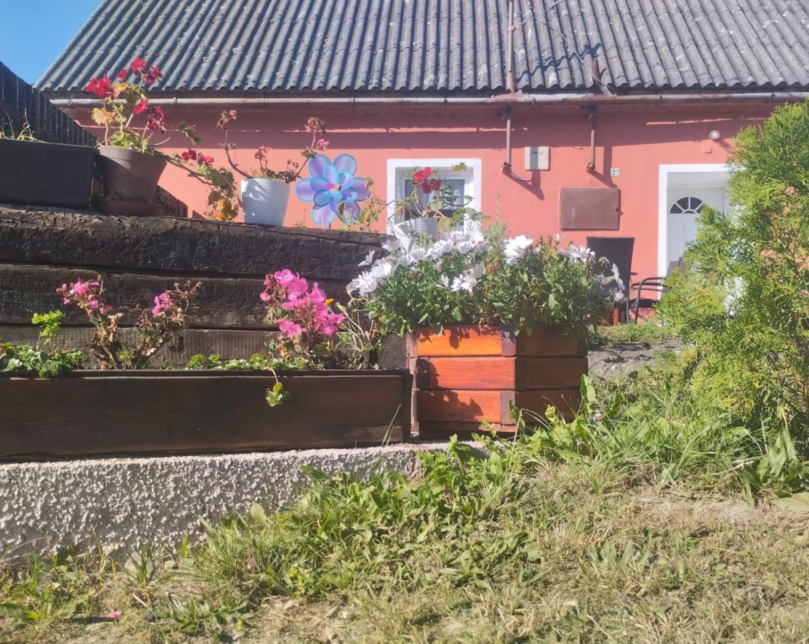 Ubytovani U Machalu Villa Leskovec Nad Moravici Exterior photo